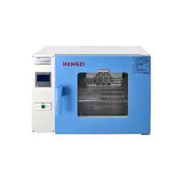 热空气消毒箱干热消毒器HGRF-9203 型