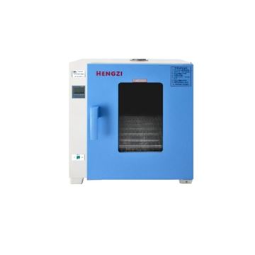 电热恒温干燥箱HGZN-II-270型